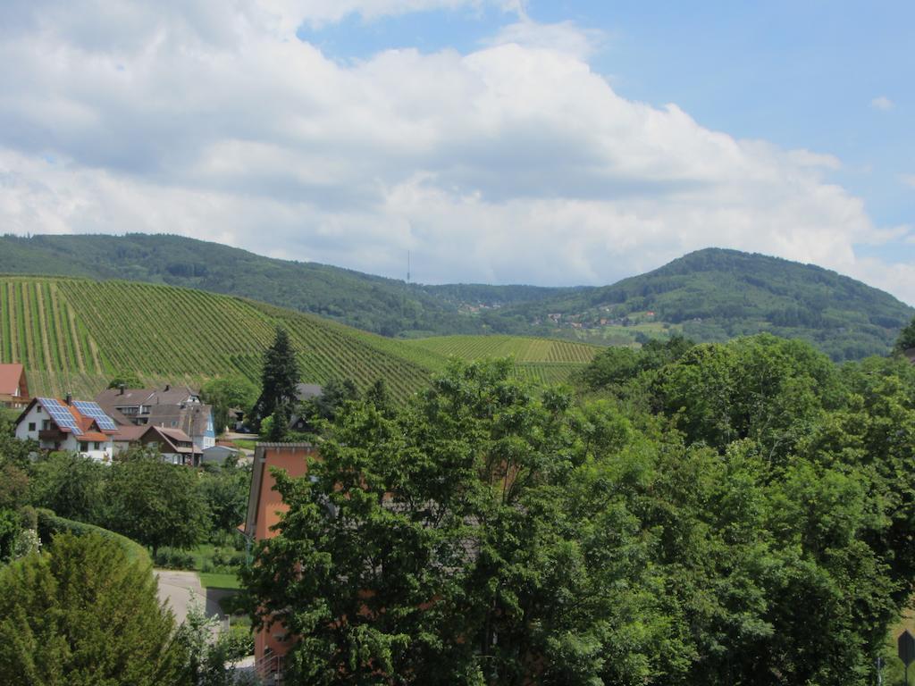 Gasthaus Zur Graesselmuehle Sasbach  외부 사진
